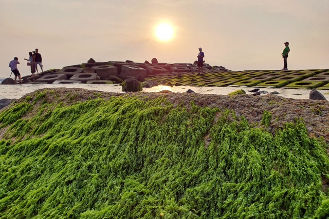 Du khách đổ xô check-in bãi đá rêu xanh đẹp nhất Phú Yên - Ảnh 4.