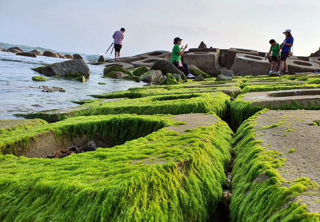 Du khách đổ xô check-in bãi đá rêu xanh đẹp nhất Phú Yên - Ảnh 3.