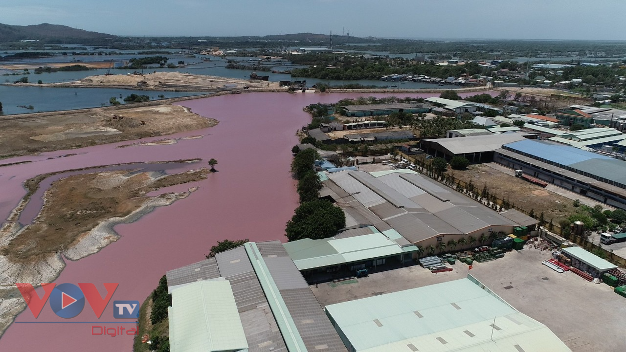 Sau đó nguồn thải này làm nước trong hồ chuyển màu hồng.jpg