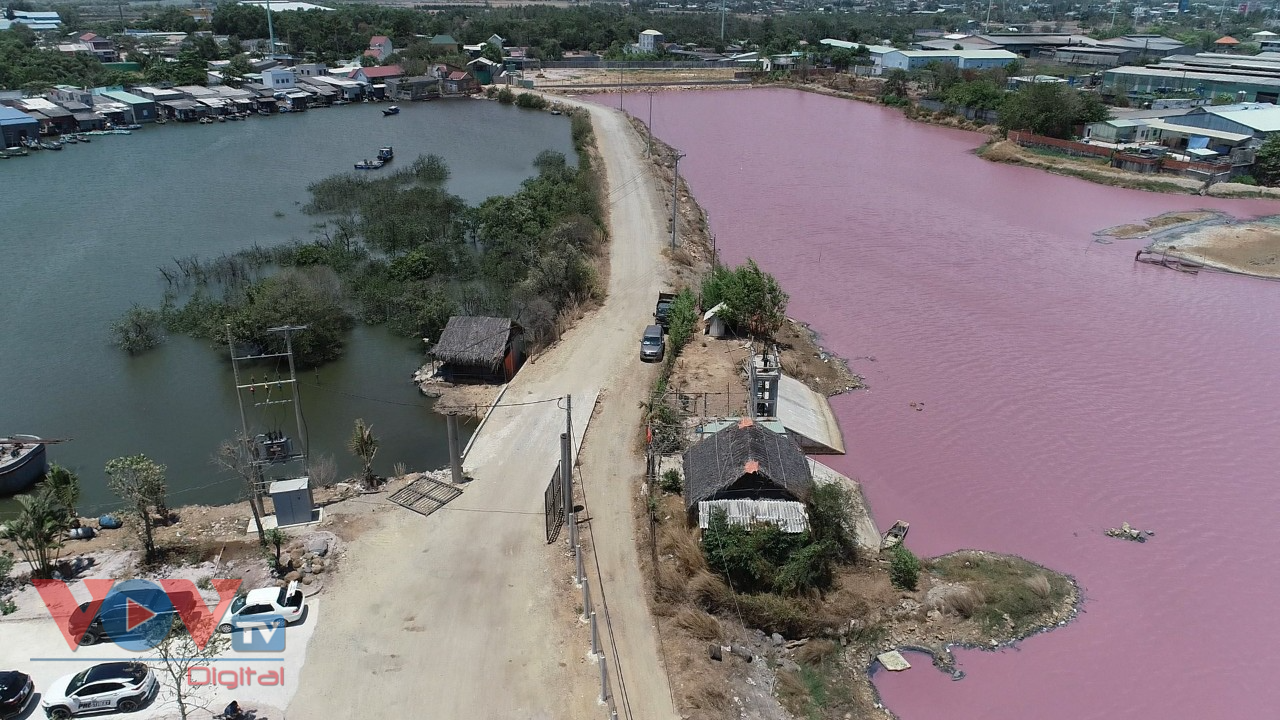 Nước chuyển màu hồng cả một vùng.jpg