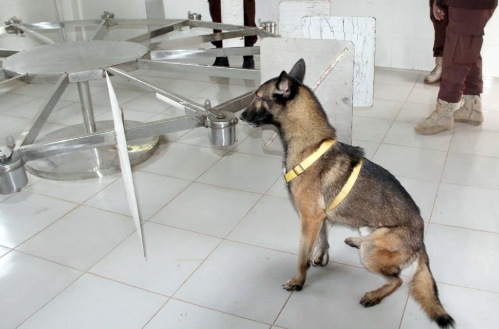 Chó nghiệp vụ được đào tạo nghiêm ngặt ( ( ảnh FB ông Heng Ratana.jpg