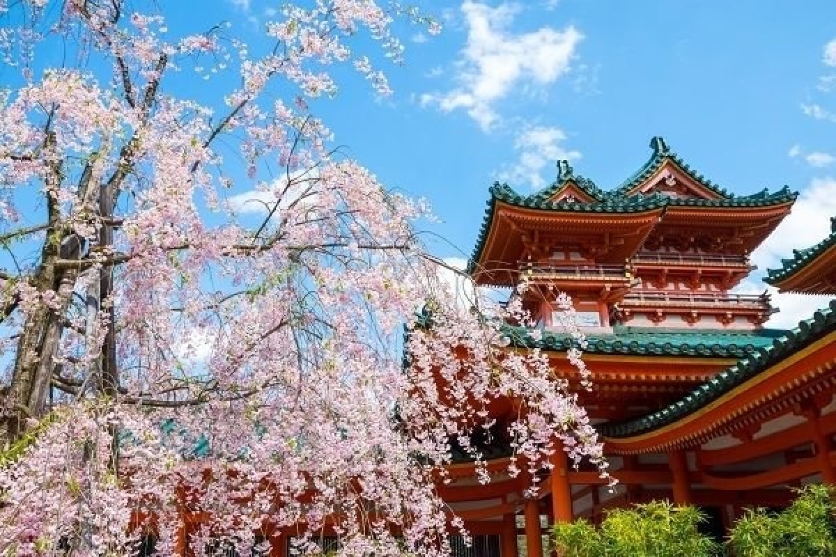 10 địa điểm ngắm hoa nổi tiếng ở Nhật Bản nhất định phải ghé thăm - Ảnh 9.