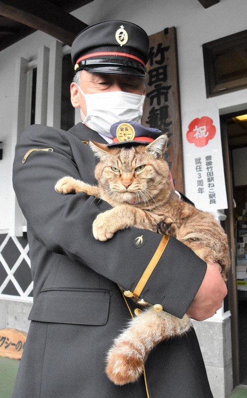 Chú mèo kỷ niệm 3 năm nhậm chức trưởng ga ở Nhật Bản - Ảnh 1.