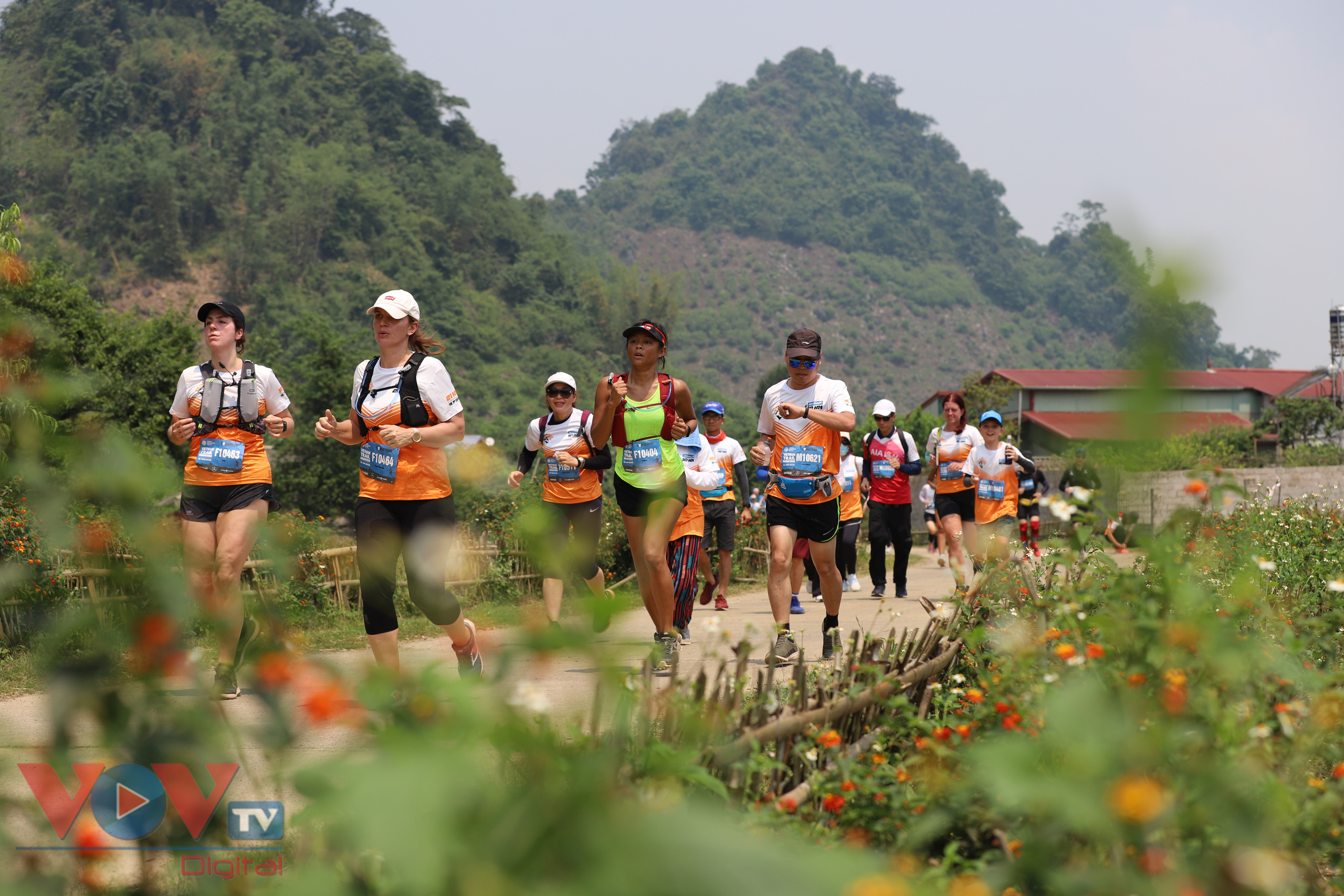 Giải chạy Marathon đường mòn Việt Nam 2021 là cơ hội để các vận động viên giao lưu, học hỏi, rèn luyện sức khỏe...