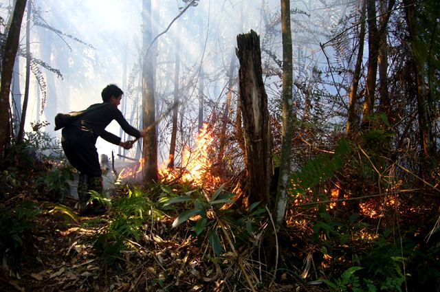 Dập tắt đám cháy rừng tại Văn Bàn - Lào Cai - Ảnh 1.