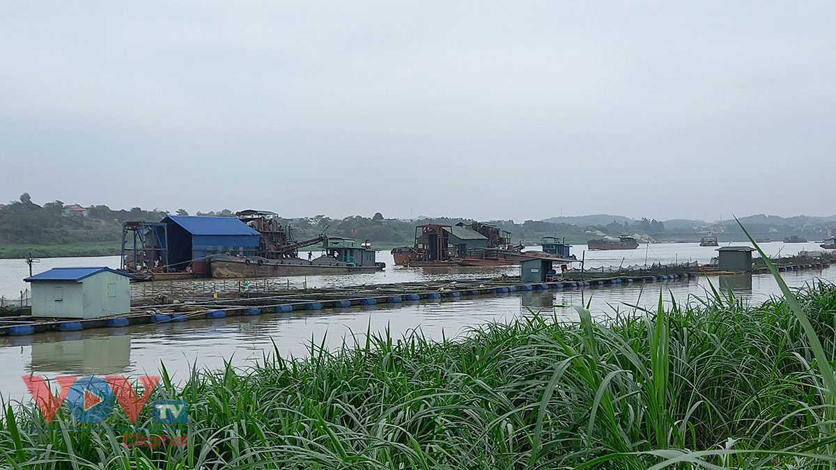 Phú Thọ: 'Bát nháo' tình trạng khai thác cát, sỏi trên sông Lô - Ảnh 3.