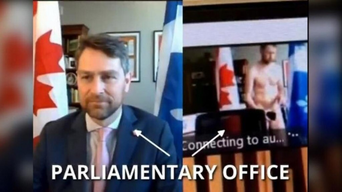 Nghị sĩ Canada từ chức vì bê bối khỏa thân, đi vệ sinh khi họp trực tuyến - Ảnh 1.