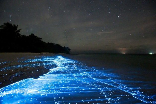 Bãi biển phát sáng trong đêm như dải ngân hà, nằm sát Việt Nam mà ít người biết - Ảnh 4.