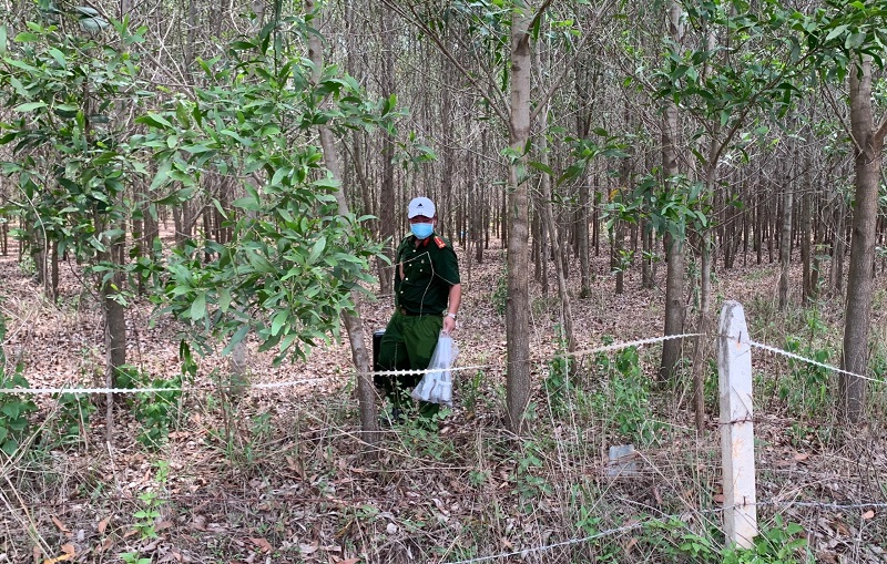 Phát hiện thi thể tại khu rừng tràm ở Bình Thuận - Ảnh 1.