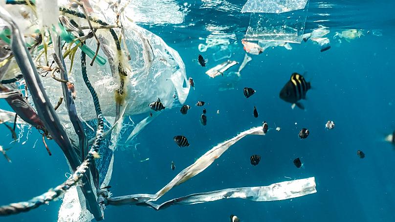 Châu Á áp đảo danh sách 10 nước xả rác nhựa nhiều nhất ra đại dương - Ảnh 1.