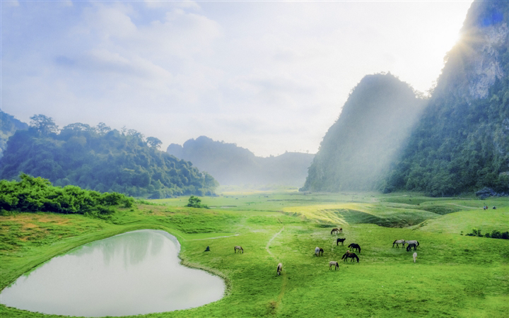 Gần Hà Nội có một thảo nguyên đổi cảnh theo mùa, xách ba lô đi ngay khi hết dịch - Ảnh 5.