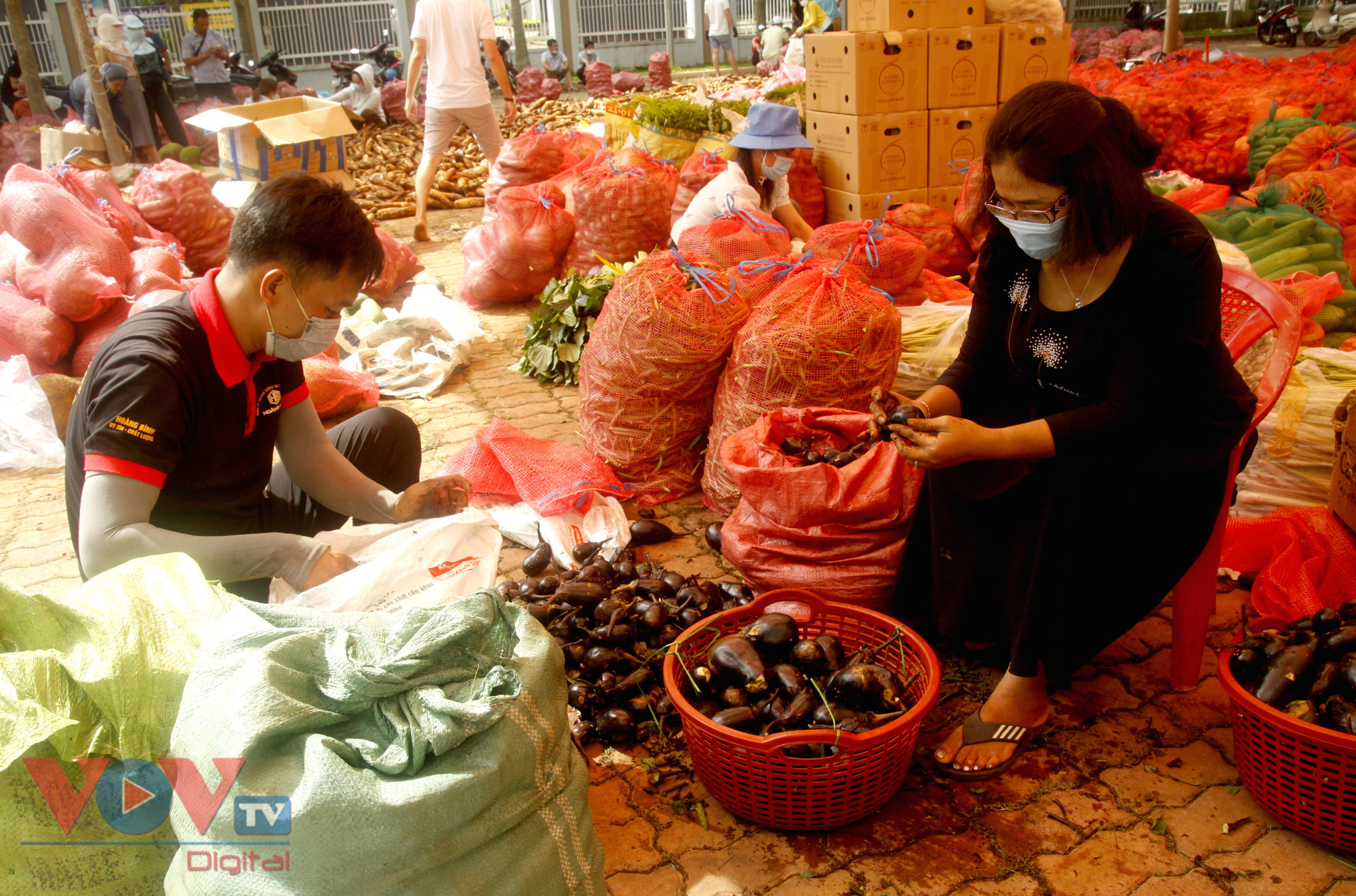 Đắk Lắk: Gần 200 tấn rau củ quả ủng hộ vùng tâm dịch TP.HCM - Ảnh 3.