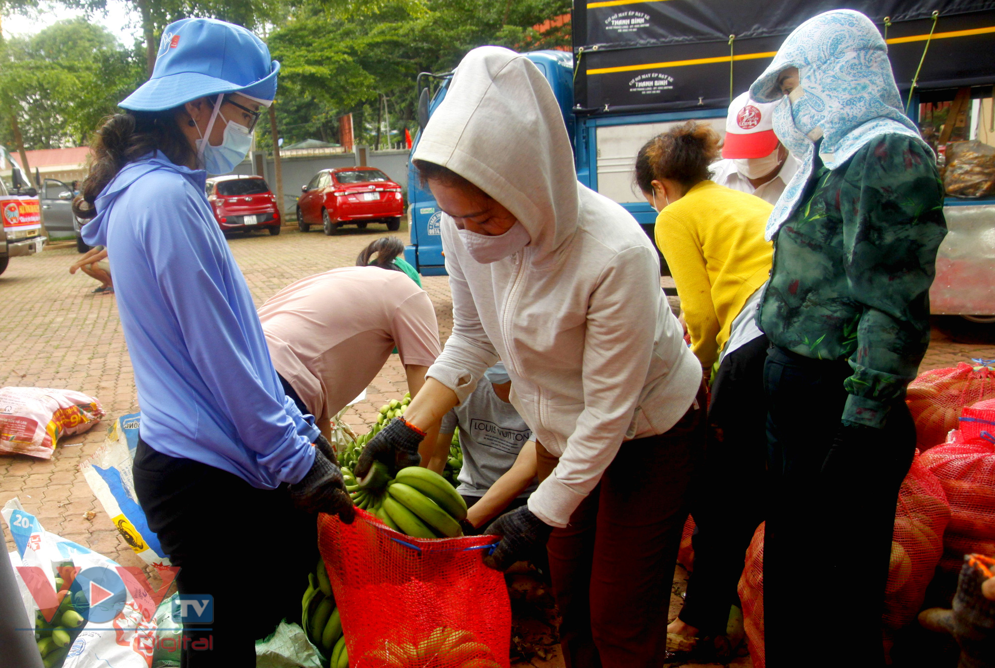 Đắk Lắk: Gần 200 tấn rau củ quả ủng hộ vùng tâm dịch TP.HCM - Ảnh 4.
