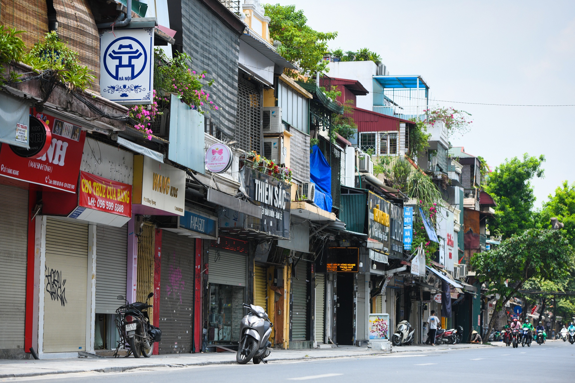 Hàng loạt nhà phố cổ Hà Nội treo biển cho thuê, bán nhà - Ảnh 1.