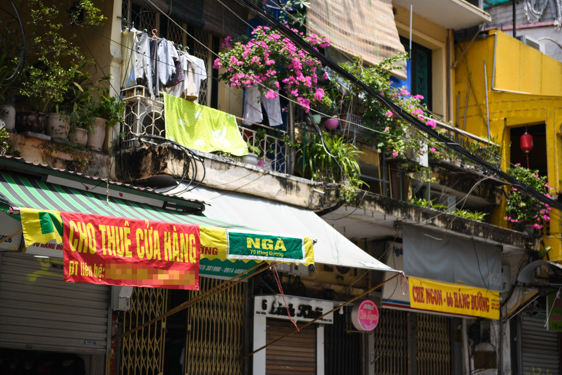 Hàng loạt nhà phố cổ Hà Nội treo biển cho thuê, bán nhà - Ảnh 8.