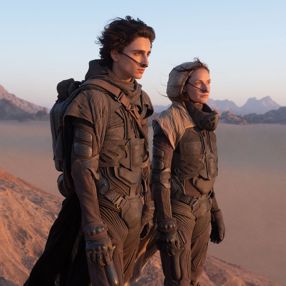 Timothée Chalamet cùng dàn sao Hollywood hội tụ trong bom tấn 'Dune' - Ảnh 2.