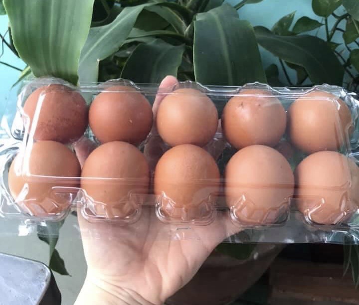 Trứng gà tăng giá gấp đôi vẫn 'cháy' hàng - Ảnh 2.