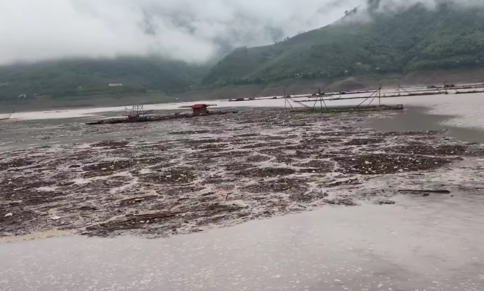 Sơn La: Cá lồng ở Phù Yên chết hàng loạt vì nước sông Đà đục ngầu bùn đất - Ảnh 1.