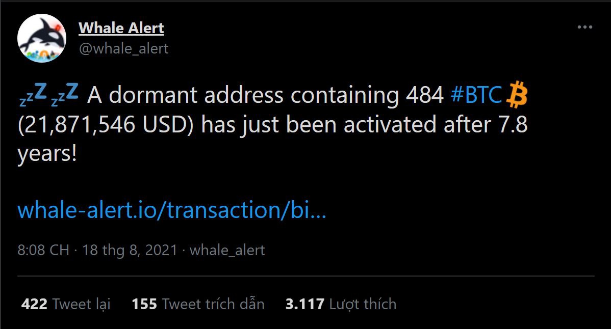 Một 'cá voi Bitcoin' vừa thức giấc sau gần 8 năm không hoạt động - Ảnh 1.