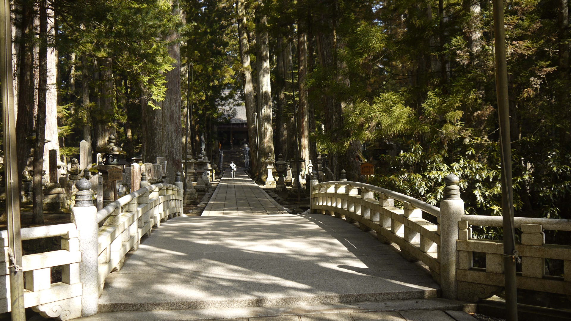 Ngọn núi thiêng có 117 ngôi đền ở Nhật Bản - Ảnh 1.