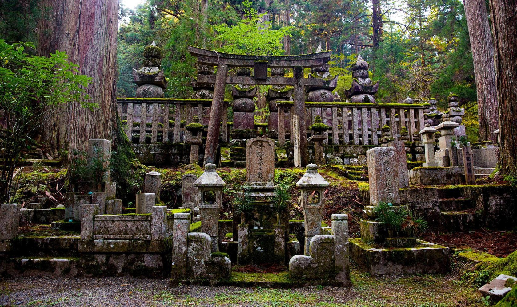 Ngọn núi thiêng có 117 ngôi đền ở Nhật Bản - Ảnh 3.