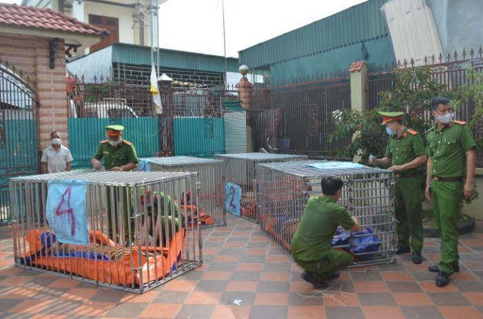 Bên trong hầm nuôi 17 con hổ ở Nghệ An - Ảnh 1.