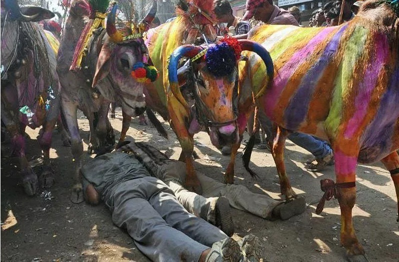 Rợn người 5 lễ hội, nghi lễ kỳ quái ở Ấn Độ - Ảnh 3.