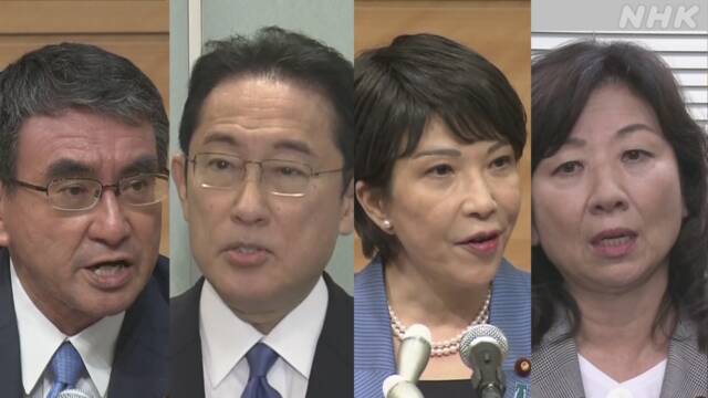 Các ứng cử viên Thủ tướng Nhật Bản có điểm hạn chế gì? - Ảnh 1.