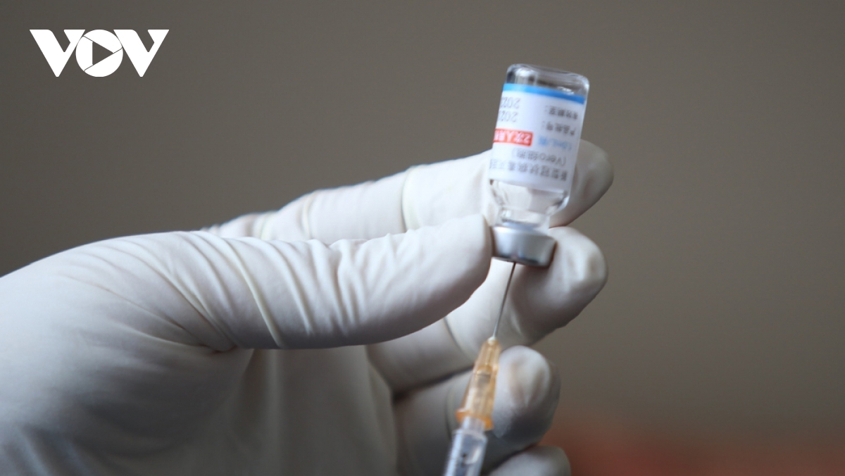 Quy trình kiểm định vaccine Vero Cell khi về Việt Nam - Ảnh 1.