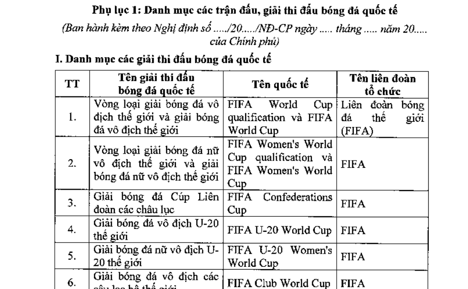 Bộ Tài chính đề xuất cho người Việt cá cược bóng đá vòng loại World Cup - Ảnh 2.