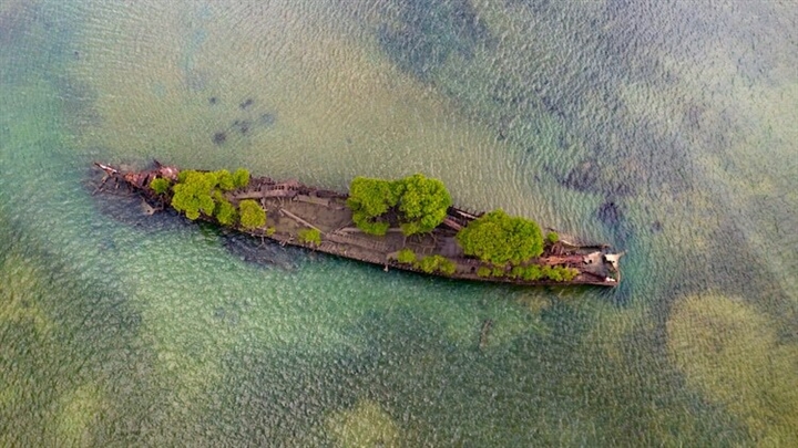 Xác tàu bỏ hoang hóa ‘rừng nổi’ giữa biển thu hút du khách đến check-in - Ảnh 2.