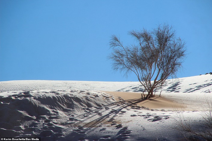 Tuyết rơi bất thường, phủ trắng xóa ở vùng đất khô nóng nhất thế giới - Ảnh 1.