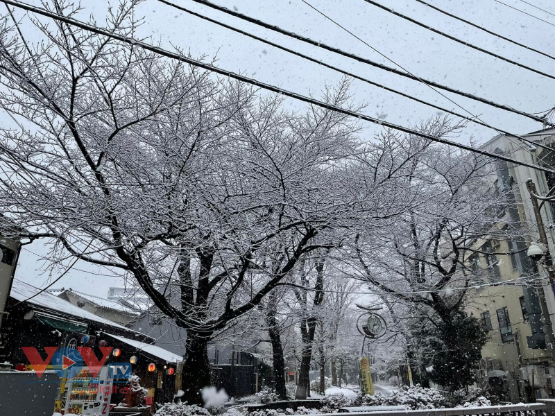 Tuyết rơi trắng xóa tại Tokyo, tạo nên cảnh sắc lãng mạn - Ảnh 5.