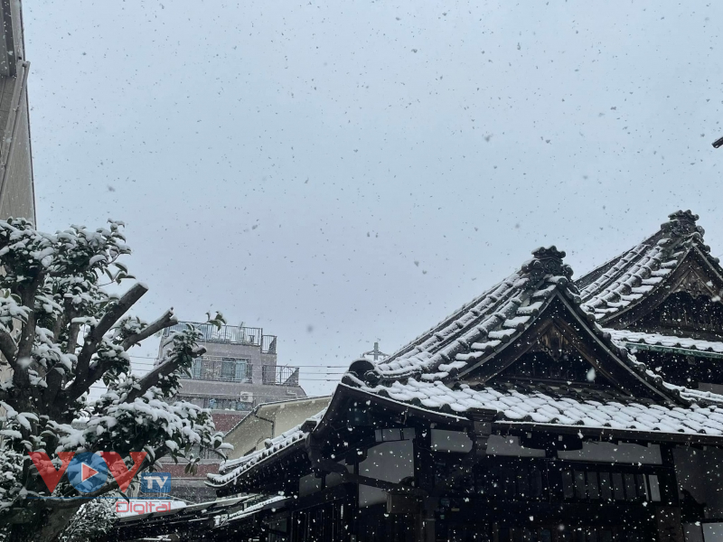Tuyết rơi trắng xóa tại Tokyo, tạo nên cảnh sắc lãng mạn - Ảnh 6.