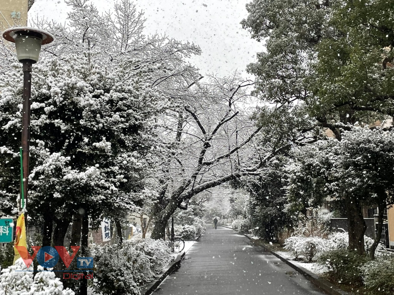 Tuyết rơi trắng xóa tại Tokyo, tạo nên cảnh sắc lãng mạn - Ảnh 7.