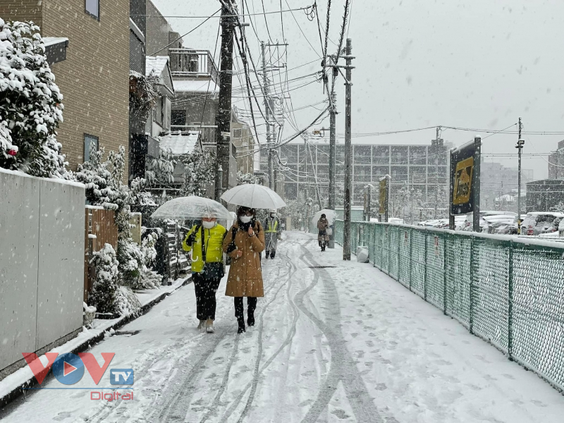 Tuyết rơi trắng xóa tại Tokyo, tạo nên cảnh sắc lãng mạn - Ảnh 9.