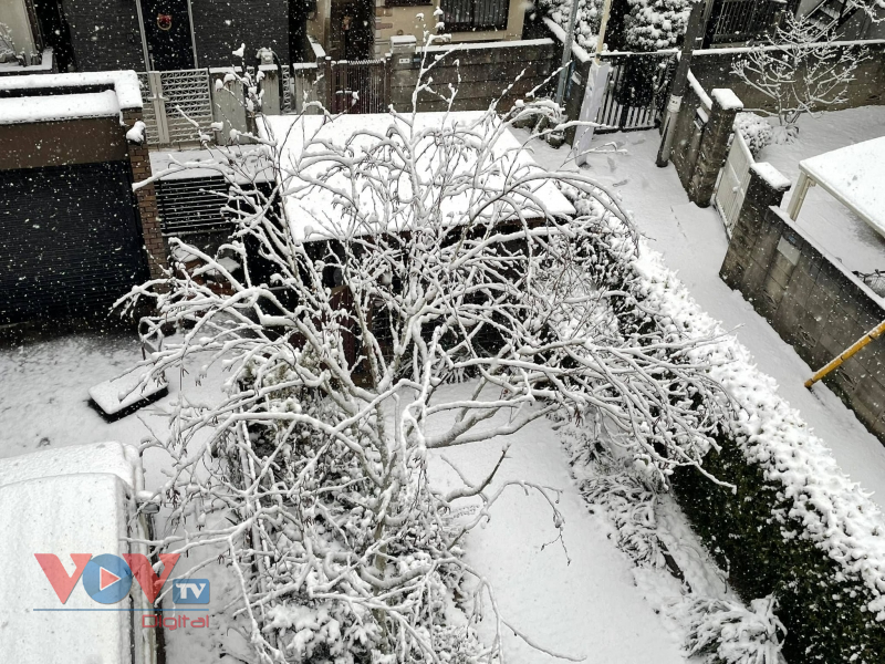 Tuyết rơi trắng xóa tại Tokyo, tạo nên cảnh sắc lãng mạn - Ảnh 10.