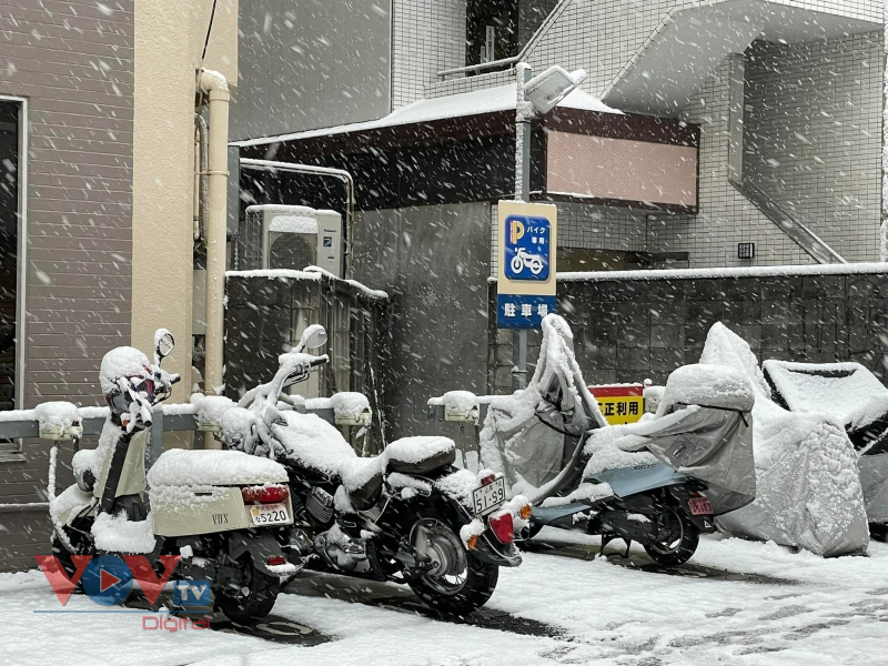 Tuyết rơi trắng xóa tại Tokyo, tạo nên cảnh sắc lãng mạn - Ảnh 1.
