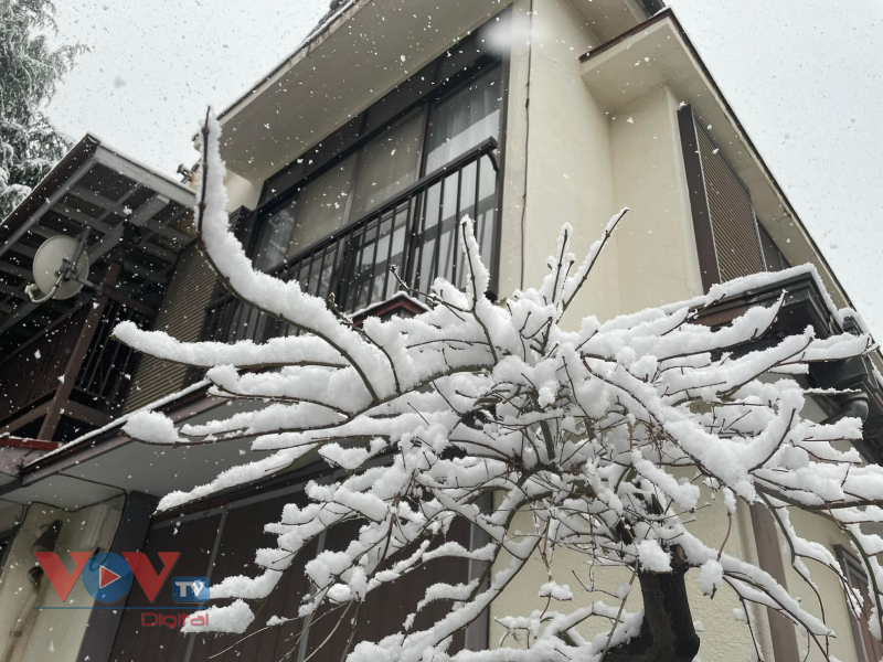 Tuyết rơi trắng xóa tại Tokyo, tạo nên cảnh sắc lãng mạn - Ảnh 2.