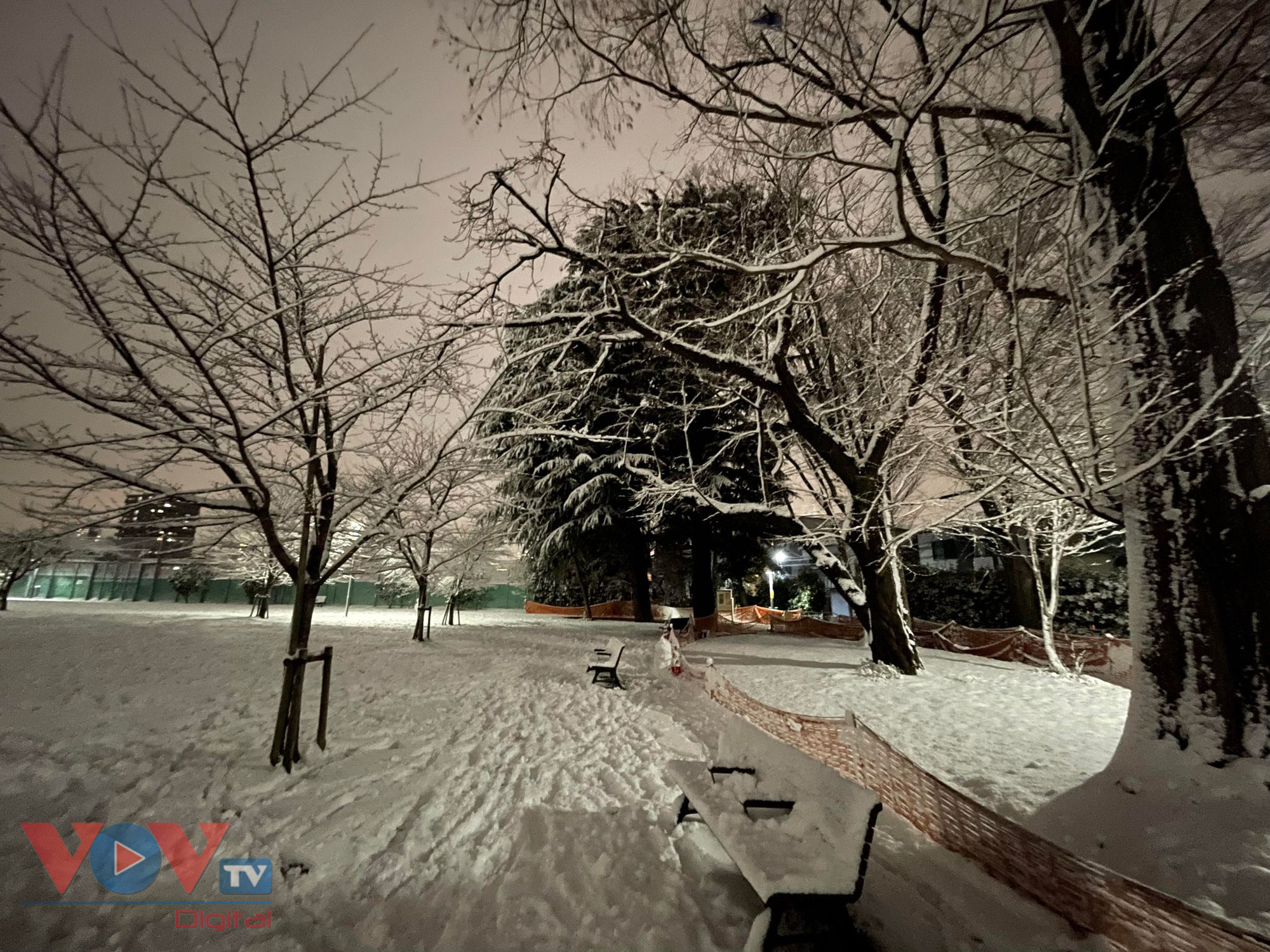 Cảnh tuyết đêm Tokyo đẹp như trong cổ tích - Ảnh 1.