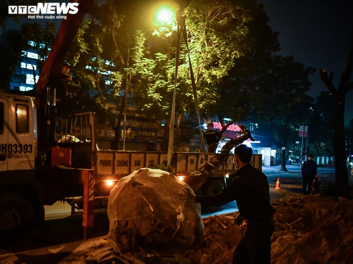 Trắng đêm di dời, chặt hạ 400 cây xanh, mở rộng đường Hoàng Quốc Việt ở Hà Nội - Ảnh 11.