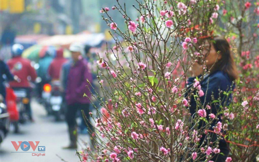 Hà Nội sẽ có 78 điểm chợ hoa Xuân - Ảnh 1.