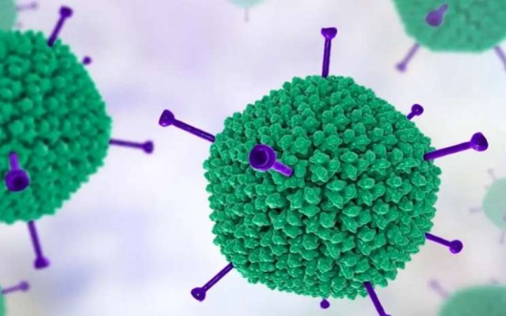 Chuyên gia: Không xét nghiệm tràn lan Adeno virus ở trẻ em - Ảnh 1.
