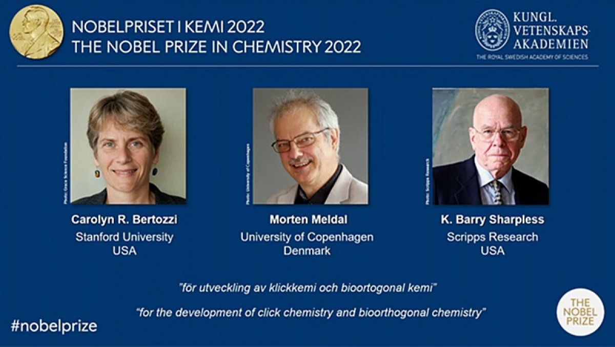 Giải Nobel Hóa học 2022 thuộc về các nhà khoa học Mỹ và Đan Mạch - Ảnh 1.