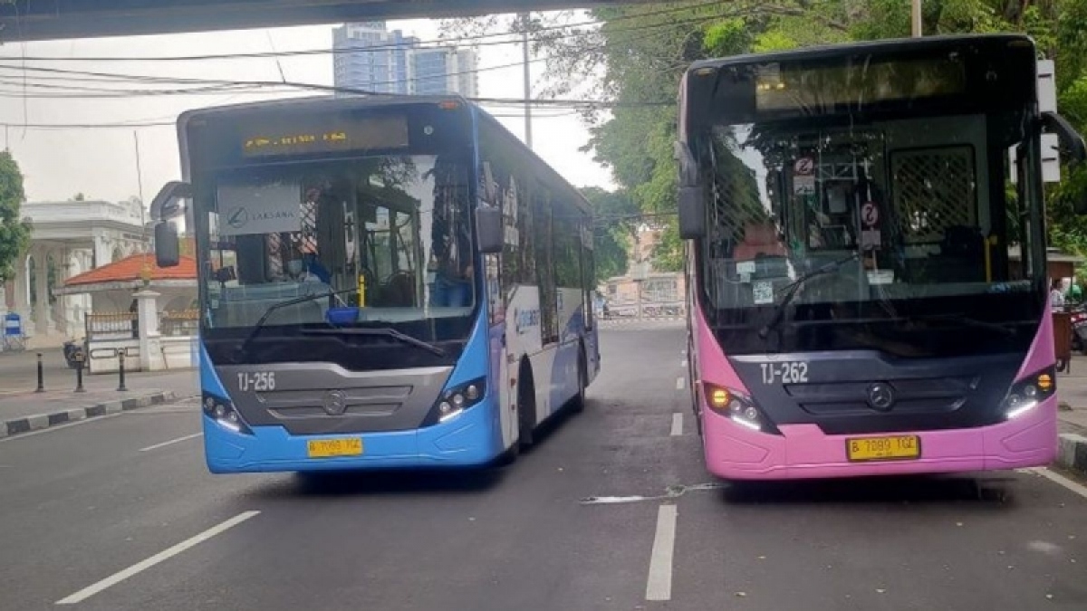 Indonesia giới thiệu 'xe buýt hồng' dành riêng hành khách nữ - Ảnh 1.