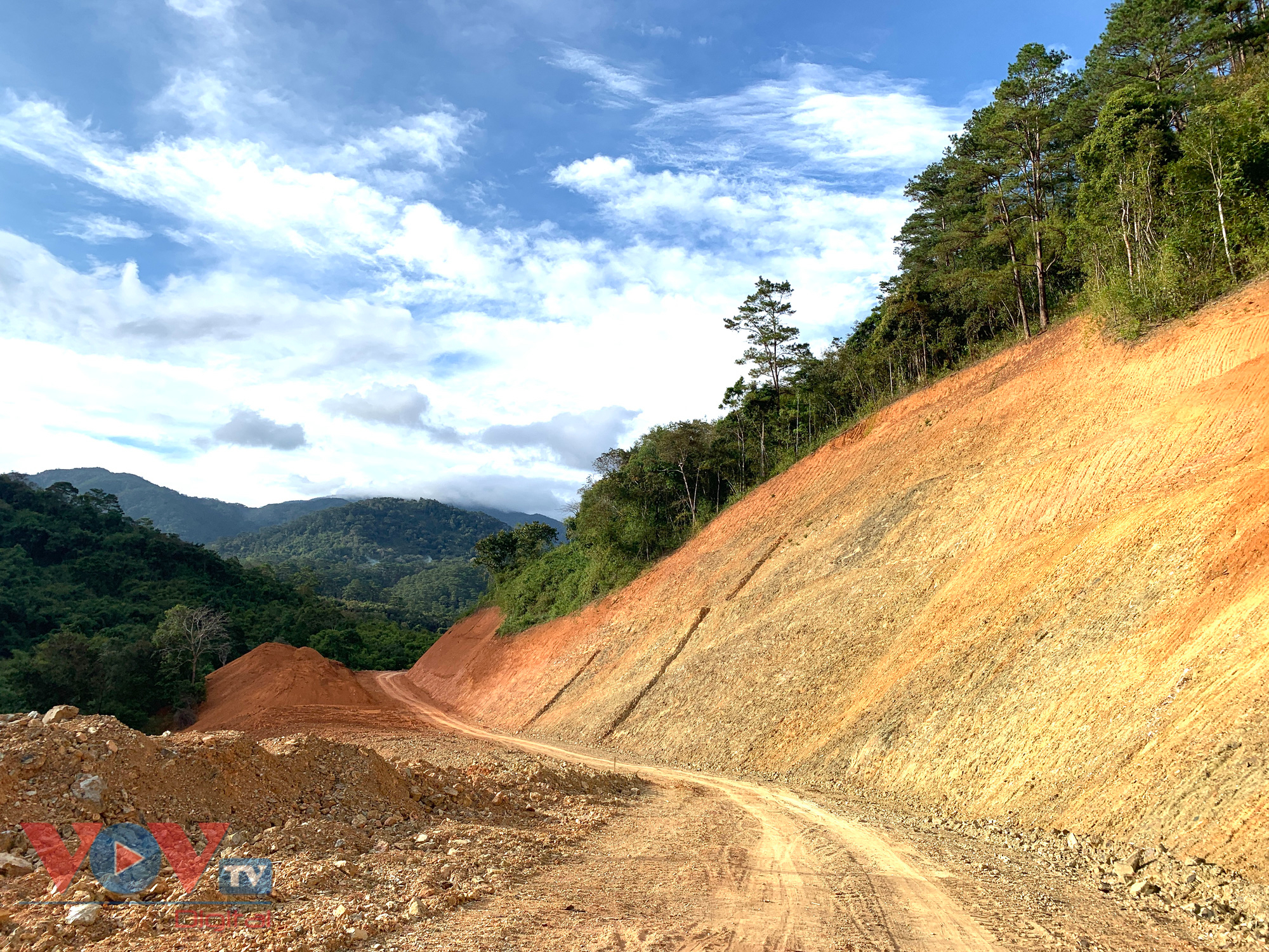 Cận cảnh rừng Quốc gia tại Đắk Lắk, Lâm Đồng bị phá để làm đường khi chưa được phép - Ảnh 2.