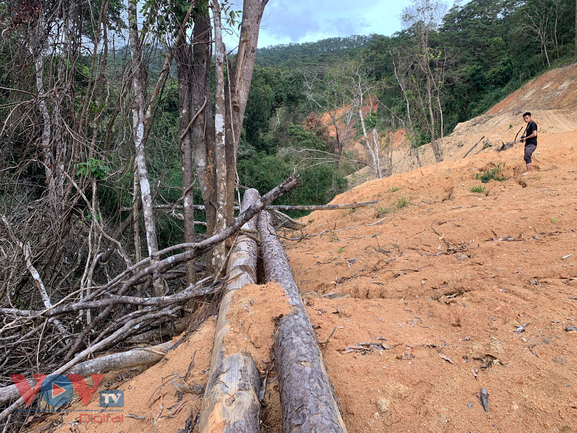 Cận cảnh rừng Quốc gia tại Đắk Lắk, Lâm Đồng bị phá để làm đường khi chưa được phép - Ảnh 4.