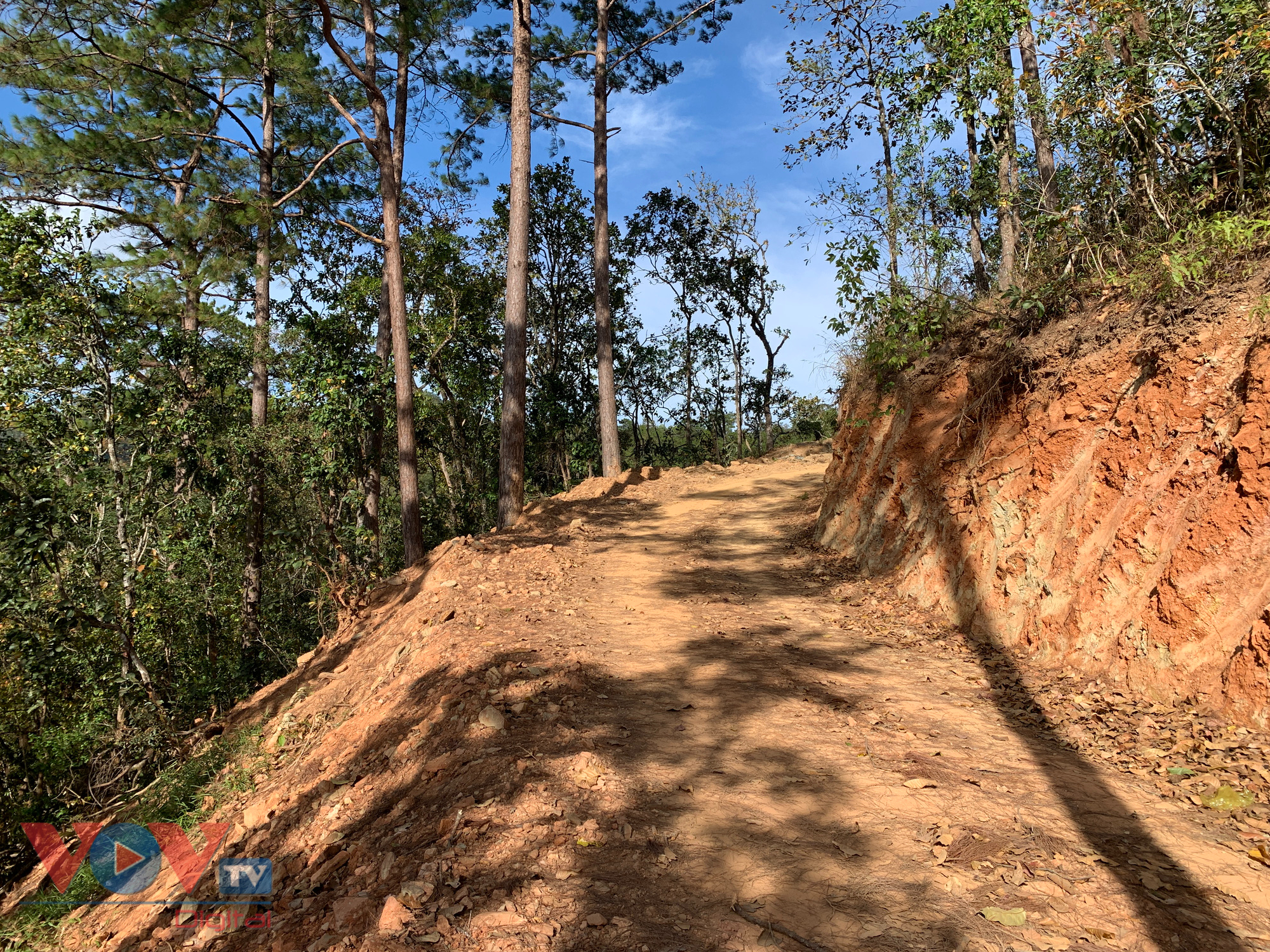 Cận cảnh rừng Quốc gia tại Đắk Lắk, Lâm Đồng bị phá để làm đường khi chưa được phép - Ảnh 5.