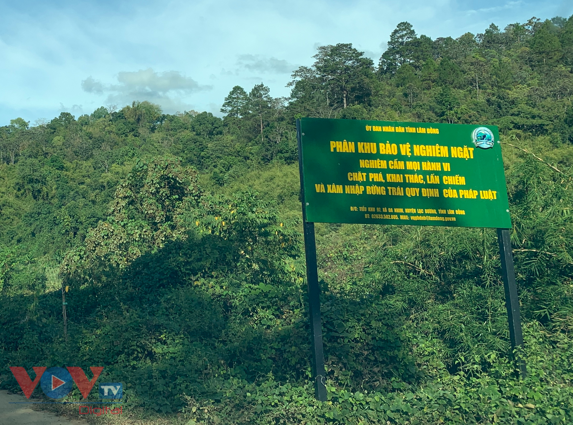 Cận cảnh rừng Quốc gia tại Đắk Lắk, Lâm Đồng bị phá để làm đường khi chưa được phép - Ảnh 10.