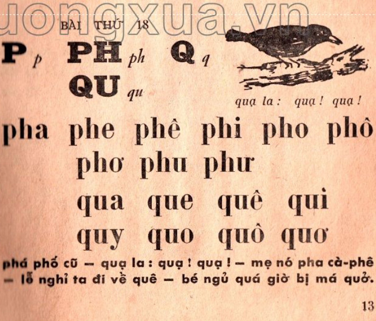 Tiếng Việt 1 không dạy chữ P: 'Cải tiến hoá cải lùi, sai lầm nghiêm trọng' - Ảnh 3.